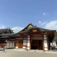 日本特別史蹟 - 名古屋城看傳統城堡！