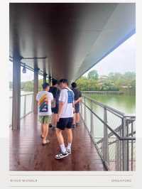 สวนสัตว์ River Wonder-Night Safari 🇸🇬Singapore
