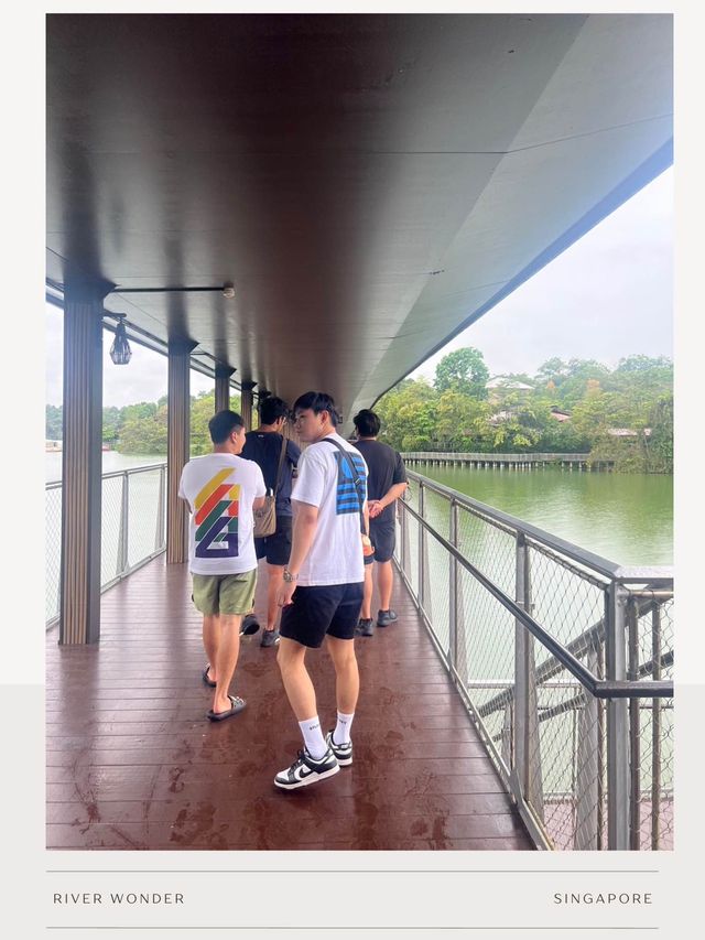 สวนสัตว์ River Wonder-Night Safari 🇸🇬Singapore