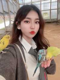 홍천 1박 2일 여행 ‘까미노데플로레스타‘&알파카월드&달구새끼