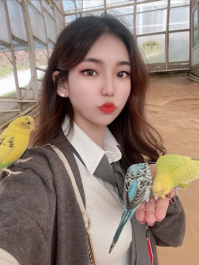 홍천 1박 2일 여행 ‘까미노데플로레스타‘&알파카월드&달구새끼