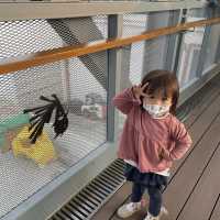 免費親子活動· 去O park 1搵大嘥鬼