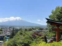 富士山美拍景點｜新倉山浅間公園，要早一點來要不然超多人