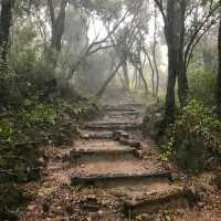 Experience Mt. Tangkuban Perahu close up