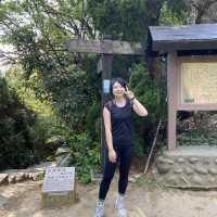 🌟台北天母｜天母古道 水管路步道 翠峰瀑布 健行親山