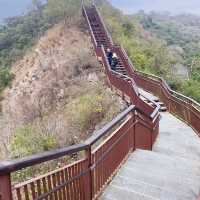 高雄茂林-多納高吊橋+天梯步道