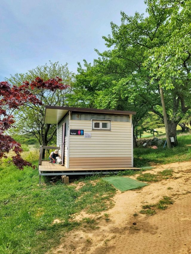 초록 가득한 힐링 한스푼🌿경주 최애여행코스💚
