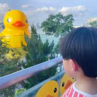 DOUBLE DUCKS橡皮鴨二重奏遊維港藝術展覽打卡