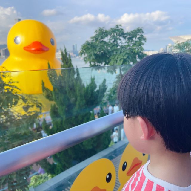 DOUBLE DUCKS橡皮鴨二重奏遊維港藝術展覽打卡