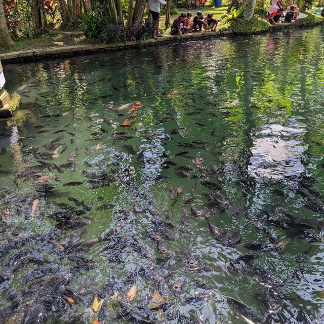 Taman Mumbul Sangeh