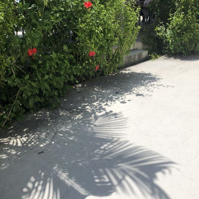 【沖縄旅行】親父のまぐろ