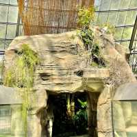 見所たくさん♪熱川バナナワニ園🐊