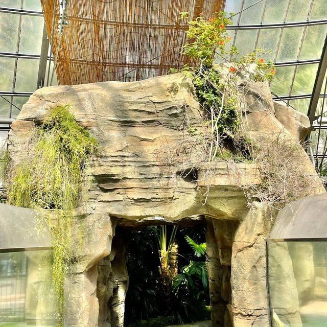 見所たくさん♪熱川バナナワニ園🐊