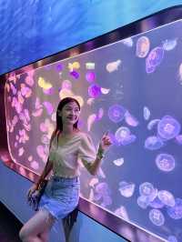 鬧市中的水母世界