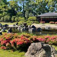 Motorikyu Nijo castle garden 