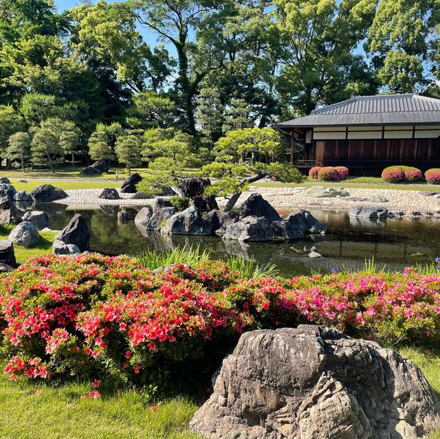 Motorikyu Nijo castle garden 