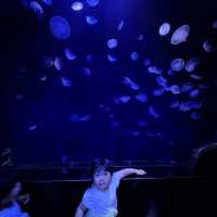 都内にある水族館！