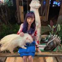 可以摸到好多野生動物嘅地方