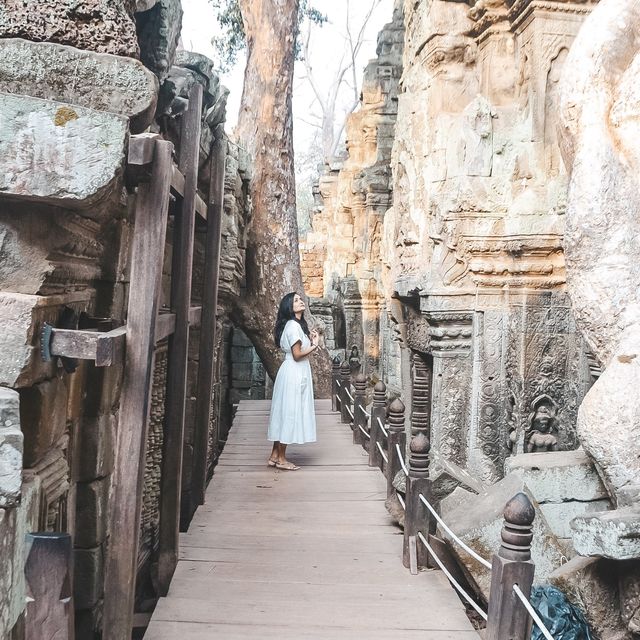Angkor Wat✨