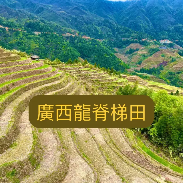 廣西之旅- 龍脊金坑瑤寨睇梯田