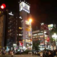 Bustling Shinjuku, the city that never sleeps