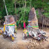 วัดภูตะเภาทอง