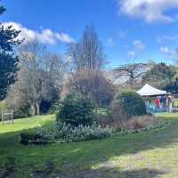 York Museum Gardens
