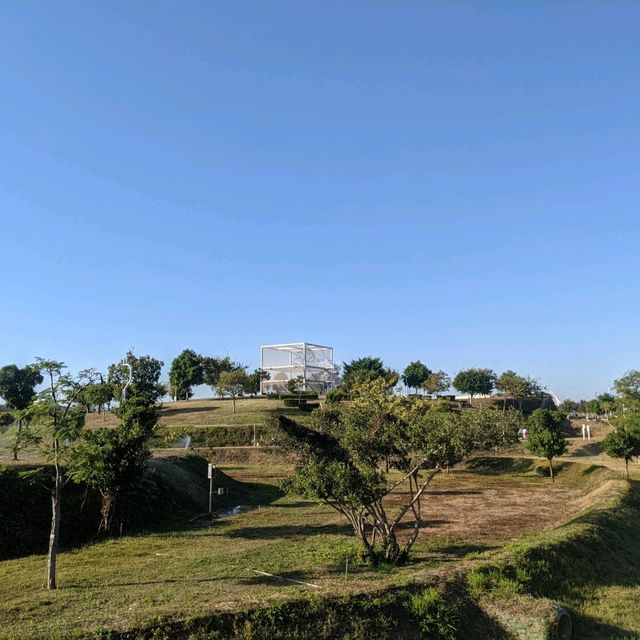 台中西屯 | 台中中央公園，市區內最美公園❤️