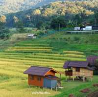 บ้านพัก แม่กลางหลวงวิว นอนชิลท่ามกลางวิวสวย