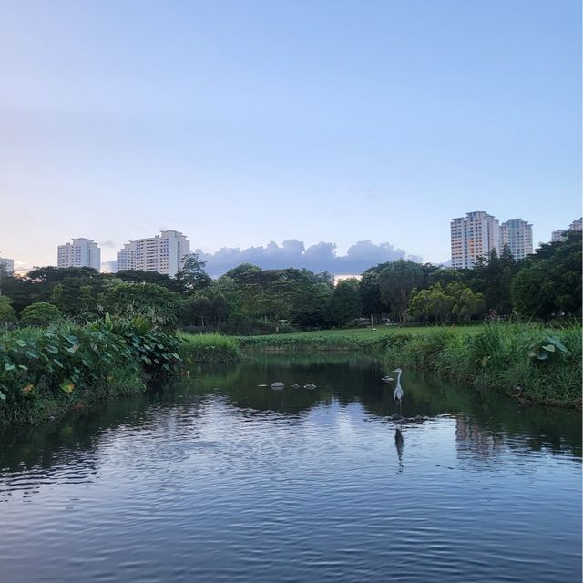 Bishan-Ang Mo Kio Park