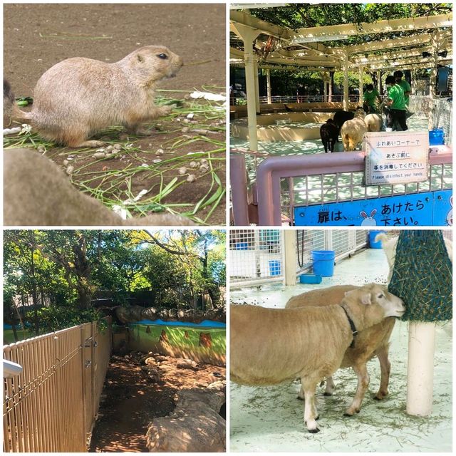 東京親子遊
