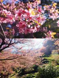 ย้อนเวลาไปขุนช่างเคี่ยน 🌸