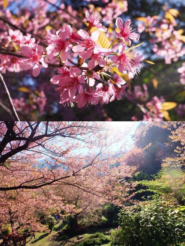 ย้อนเวลาไปขุนช่างเคี่ยน 🌸