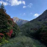 The Place with Eternal Autumn Foilage!