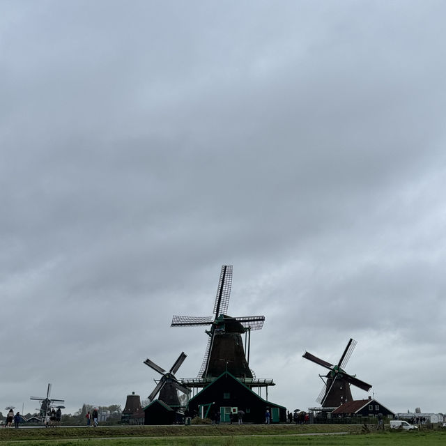 Zaanse Schans: A Journey Beyond Windmill! 