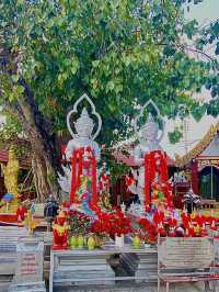 กราบไหว้สิ่งศักดิ์สิทธิ์ | วัดศรีสุพรรณ | เชียงใหม่
