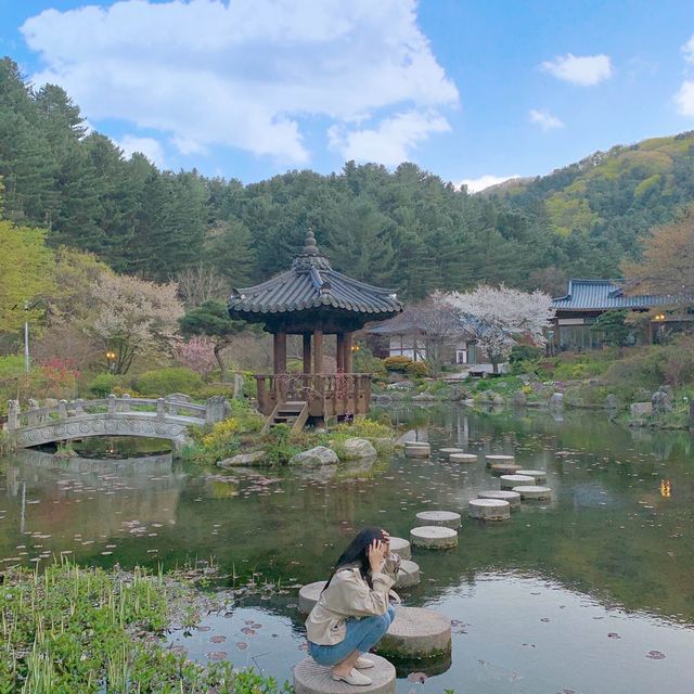 산책 하고 싶을 땐 아침고요수목원! 
