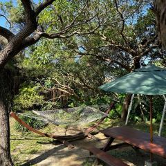 Fuu Cafe張用戶圖片