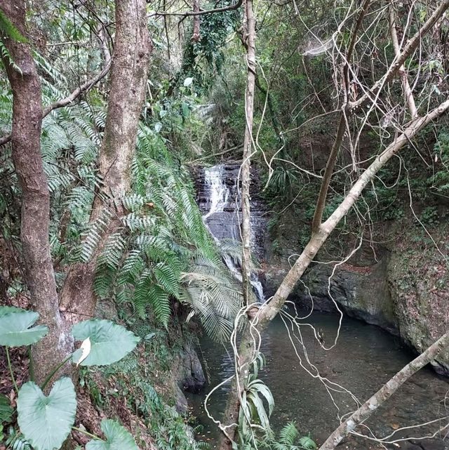 〈五峰旗瀑布〉蘭陽十景，宜蘭著名景點，越爬越涼快‼️