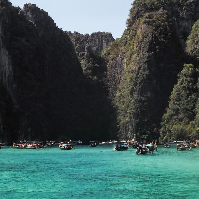 เกาะพีพี อ่าวมาหย่า-ปิเละลากูน-เกาะไผ่ จ.กระบี่  🌊