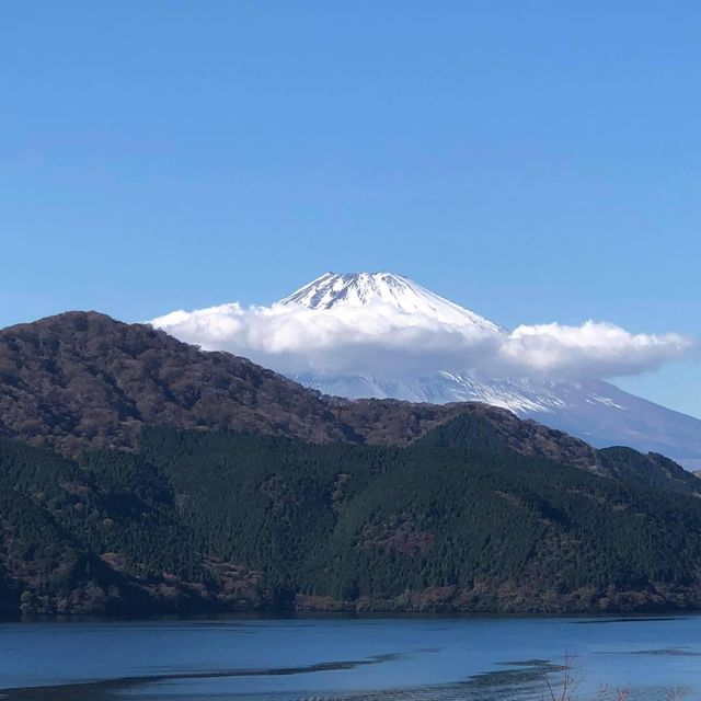 日本🇯🇵輕鬆郊游徑🫶🏻享受大自然☺️森林系旅行🧳