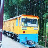 【黒部】黒部峡谷トロッコ列車