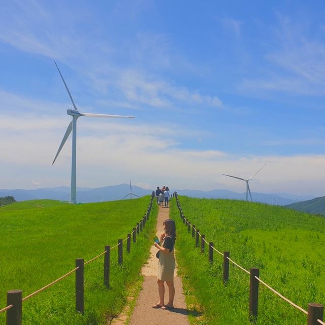 산 아래 넓은 들판에 뛰어다는 양떼보러 가실래요? :)