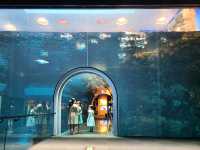 【山口】市立しものせき水族館・海響館