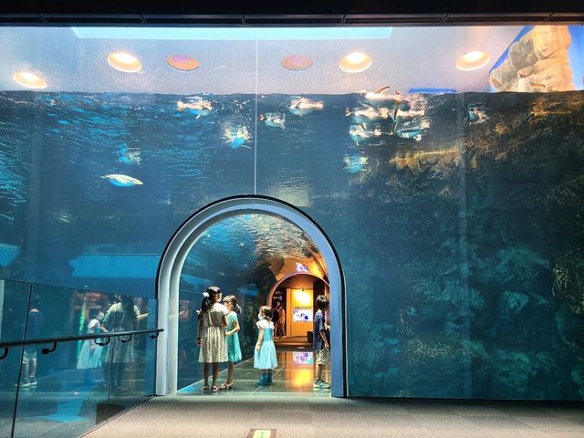 【山口】市立しものせき水族館・海響館