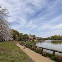 一個好有外國氣息而且好寧靜既賞花公園