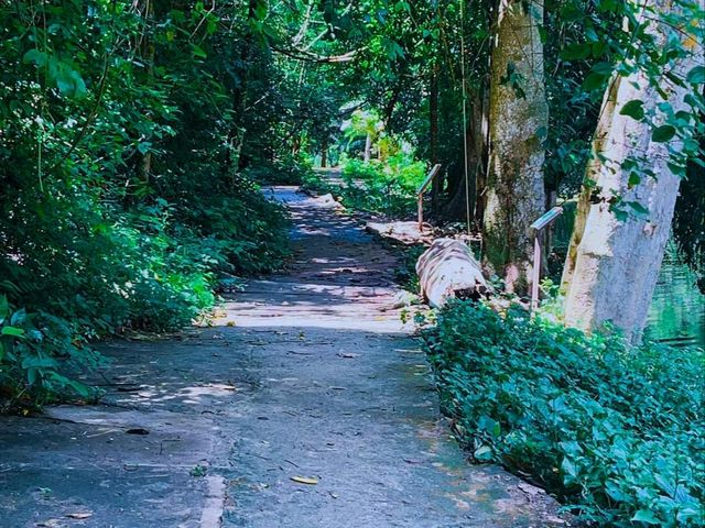 อุทยานแห่งชาติน้ำตกเจ็ดสาวน้อย จ.สระบุรี