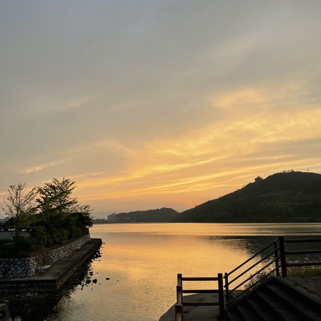 【ペットとお出かけ】浜名湖の湖畔沿いをのんびり散策！