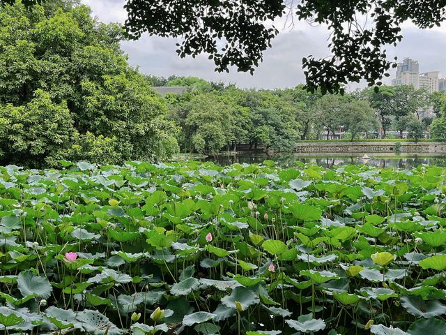 在老西關不可不逛的公園