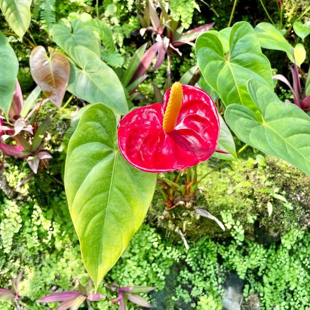 【静岡】熱川バナナワニ園🌼温泉を利用してるって✨
